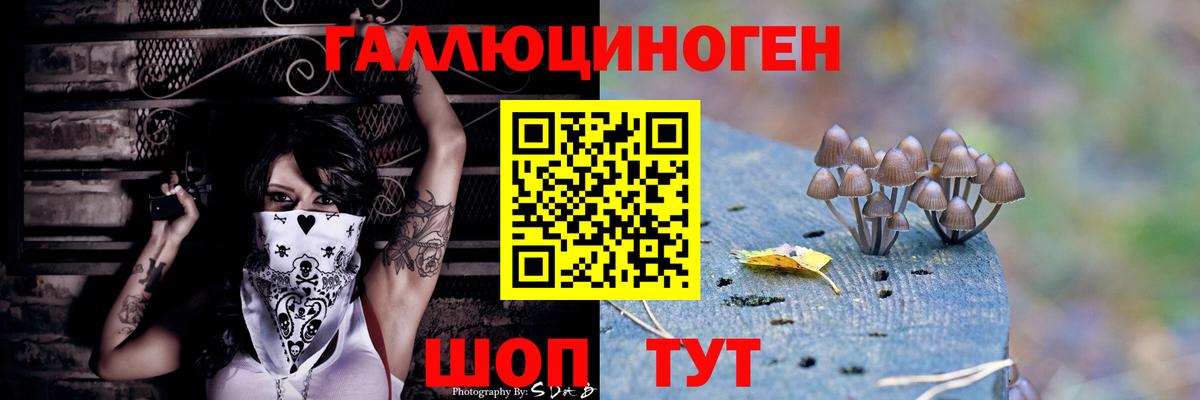 Галлюциногенные грибы Psilocybine cubensis  Вход с VPN  Минеральные Воды 
